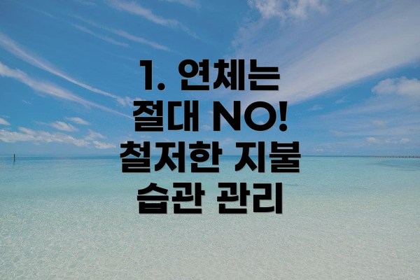 1. 연체는 절대 NO! 철저한 지불 습관 관리