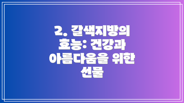 2. 갈색지방의 효능: 건강과 아름다움을 위한 선물