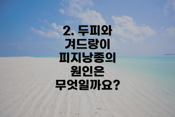 2. 두피와 겨드랑이 피지낭종의 원인은 무엇일까요?