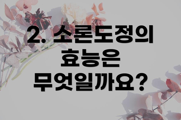 2. 소론도정의 효능은 무엇일까요?