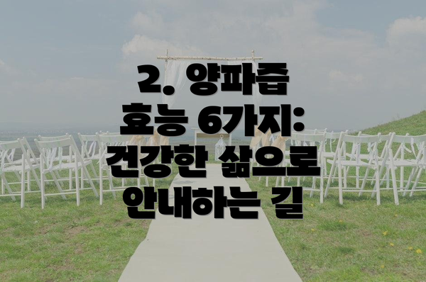 2. 양파즙 효능 6가지: 건강한 삶으로 안내하는 길