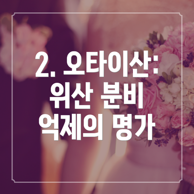 2. 오타이산: 위산 분비 억제의 명가