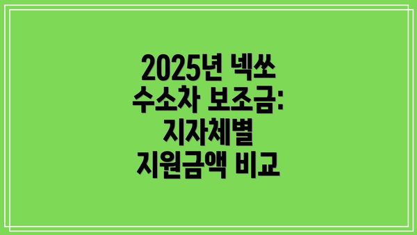 2025년 넥쏘 수소차 보조금:  지자체별 지원금액 비교