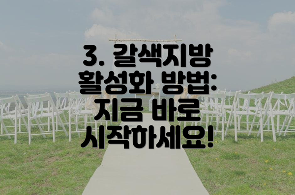 3. 갈색지방 활성화 방법:  지금 바로 시작하세요!