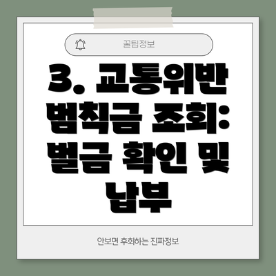 3. 교통위반 범칙금 조회:  벌금 확인 및 납부