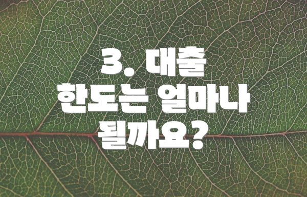 3. 대출 한도는 얼마나 될까요?