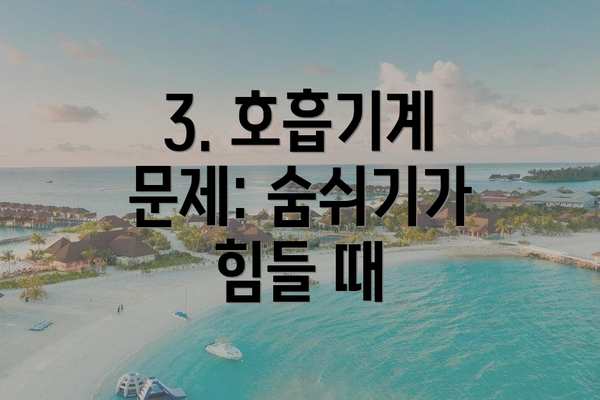 3. 호흡기계 문제: 숨쉬기가 힘들 때