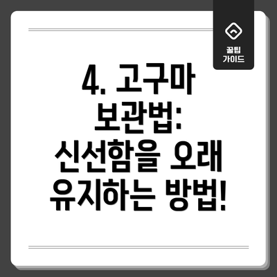 4. 고구마 보관법: 신선함을 오래 유지하는 방법!