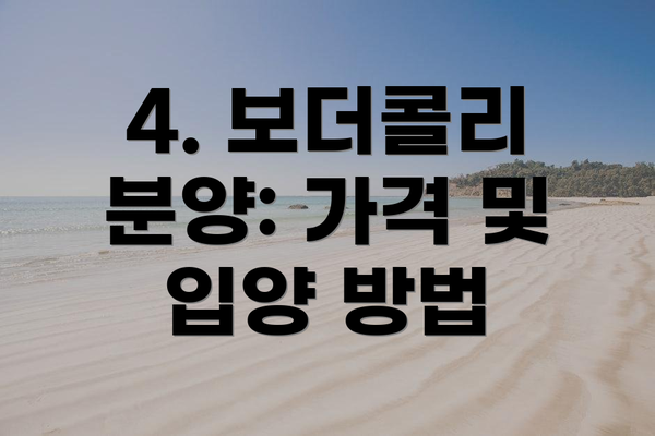 4. 보더콜리 분양: 가격 및 입양 방법