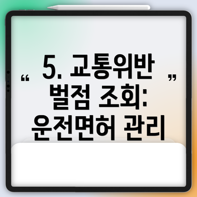 5. 교통위반 벌점 조회:  운전면허 관리