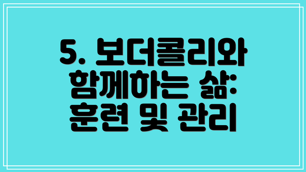 5. 보더콜리와 함께하는 삶:  훈련 및 관리