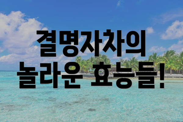 결명자차의 놀라운 효능들!