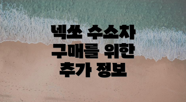 넥쏘 수소차 구매를 위한 추가 정보