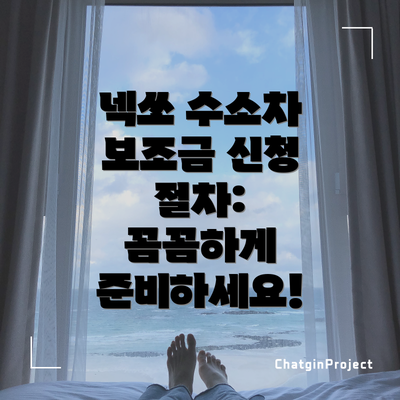 넥쏘 수소차 보조금 신청 절차:  꼼꼼하게 준비하세요!