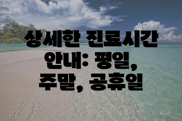 상세한 진료시간 안내: 평일, 주말, 공휴일