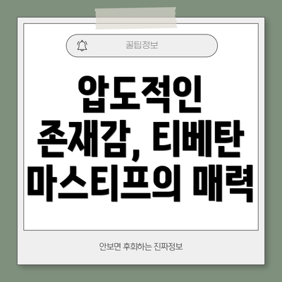 압도적인 존재감, 티베탄 마스티프의 매력