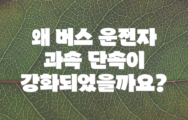 왜 버스 운전자 과속 단속이 강화되었을까요?
