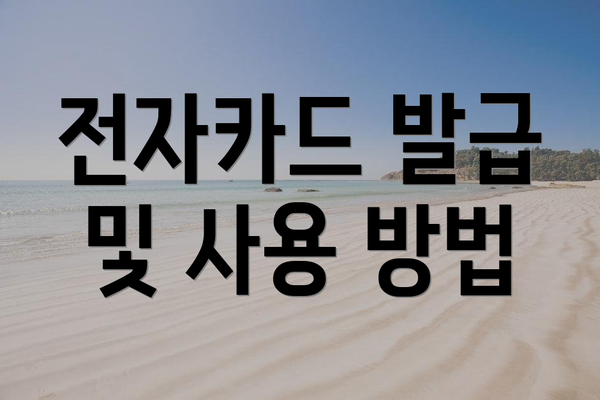 전자카드 발급 및 사용 방법