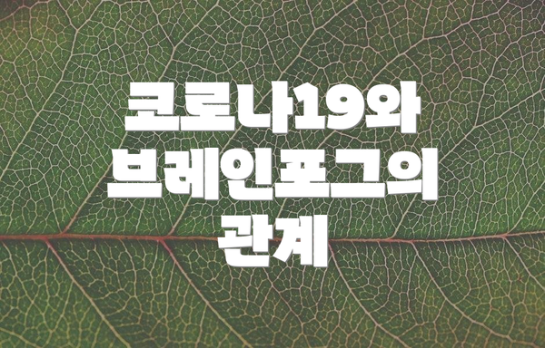 코로나19와 브레인포그의 관계