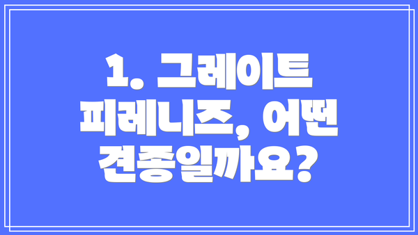 1. 그레이트 피레니즈, 어떤 견종일까요?