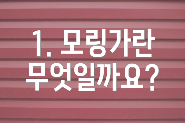 1. 모링가란 무엇일까요?