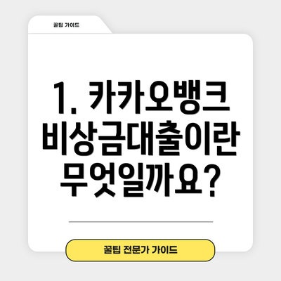 1. 카카오뱅크 비상금대출이란 무엇일까요?