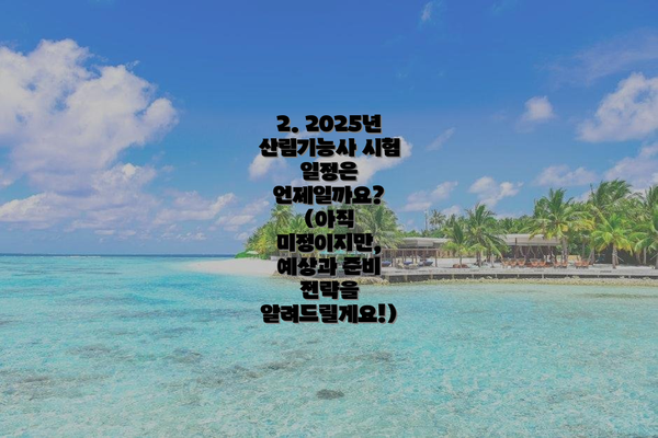 2. 2025년 산림기능사 시험 일정은 언제일까요? (아직 미정이지만, 예상과 준비 전략을 알려드릴게요!)