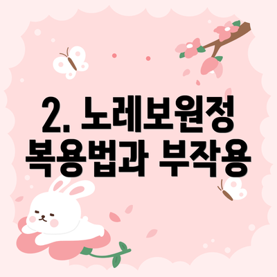 2. 노레보원정 복용법과 부작용