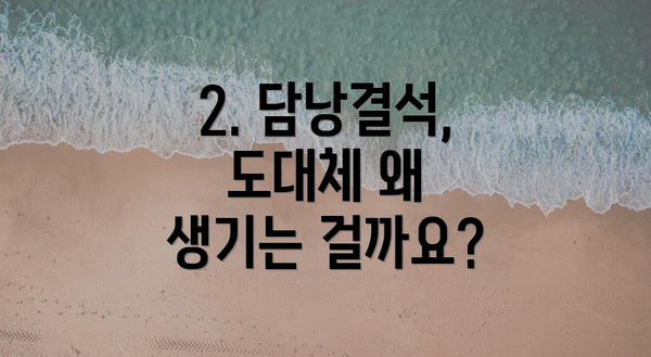 2. 담낭결석, 도대체 왜 생기는 걸까요?