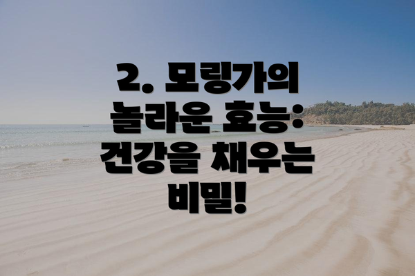 2. 모링가의 놀라운 효능: 건강을 채우는 비밀!