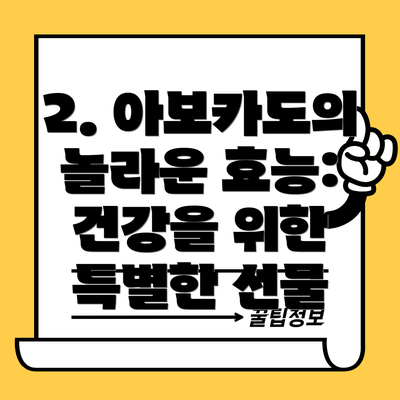 2. 아보카도의 놀라운 효능: 건강을 위한 특별한 선물