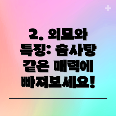 2. 외모와 특징: 솜사탕 같은 매력에 빠져보세요!