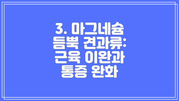 3. 마그네슘 듬뿍 견과류: 근육 이완과 통증 완화