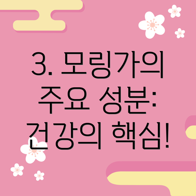 3. 모링가의 주요 성분: 건강의 핵심!