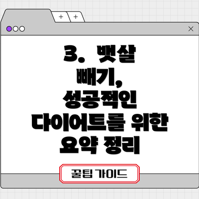 3.  뱃살 빼기,  성공적인 다이어트를 위한 요약 정리