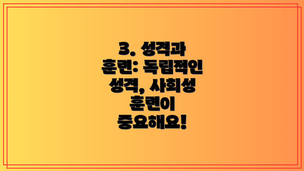 3. 성격과 훈련: 독립적인 성격, 사회성 훈련이 중요해요!