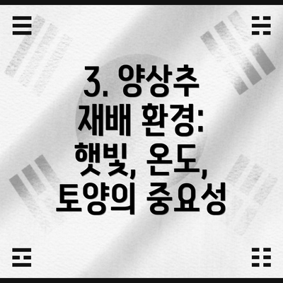 3. 양상추 재배 환경: 햇빛, 온도, 토양의 중요성