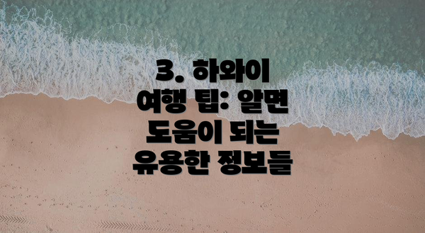 3. 하와이 여행 팁: 알면 도움이 되는 유용한 정보들