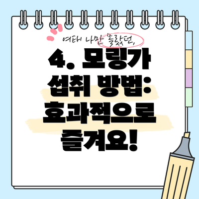 4. 모링가 섭취 방법: 효과적으로 즐겨요!
