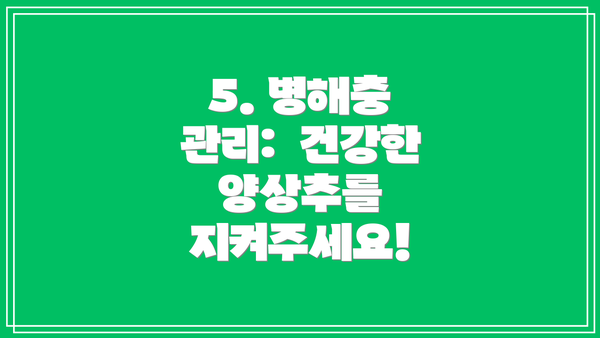 5. 병해충 관리:  건강한 양상추를 지켜주세요!