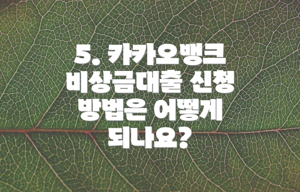 5. 카카오뱅크 비상금대출 신청 방법은 어떻게 되나요?