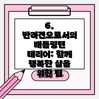 6. 반려견으로서의 배들링턴 테리어: 함께 행복한 삶을 위한 팁