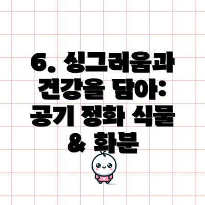 6. 싱그러움과 건강을 담아: 공기 정화 식물 & 화분