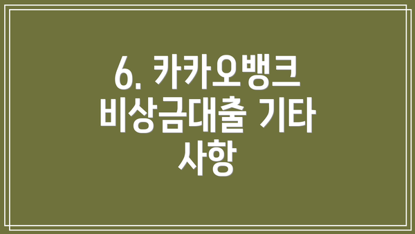 6. 카카오뱅크 비상금대출 기타 사항