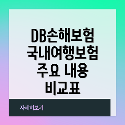 DB손해보험 국내여행보험 주요 내용 비교표