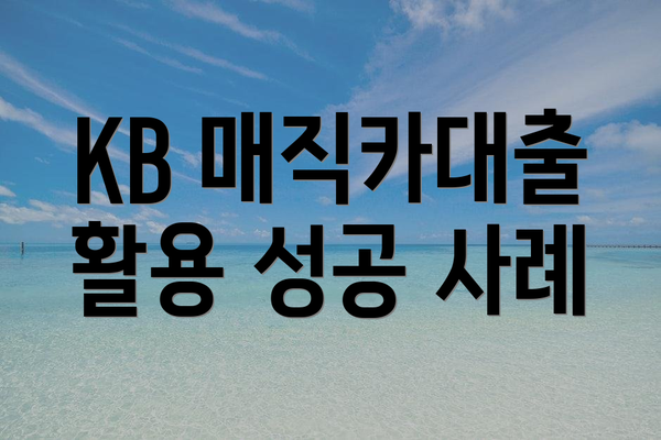 KB 매직카대출 활용 성공 사례