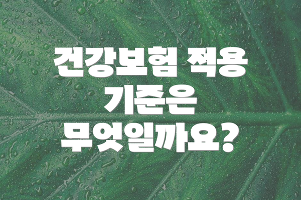 건강보험 적용 기준은 무엇일까요?