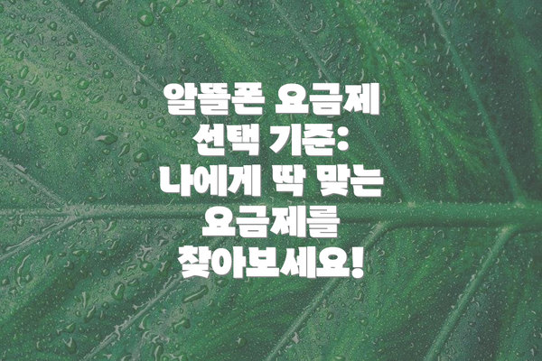 알뜰폰 요금제 선택 기준: 나에게 딱 맞는 요금제를 찾아보세요!
