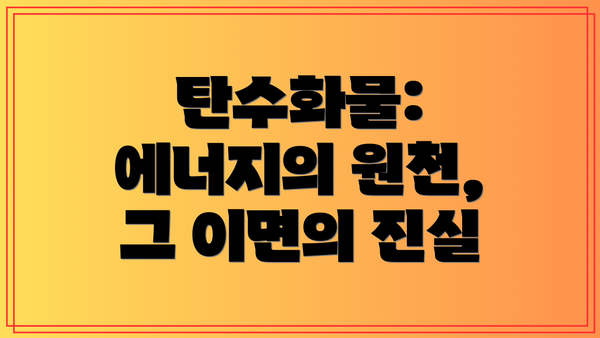 탄수화물: 에너지의 원천, 그 이면의 진실