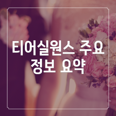 티어실원스 주요 정보 요약